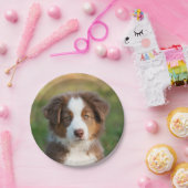 Welpenportrait Australian Shepherd, Party Pappteller (Party)