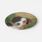 Welpenportrait Australian Shepherd, Party Pappteller (Schrägansicht)