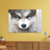 Welpenportrait Leinwanddruck (Insitu (Wohnzimmer))