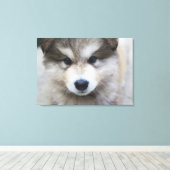 Welpenportrait Leinwanddruck (Insitu (Holzboden))