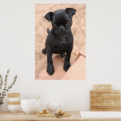 Welpenposter aus schwarzem Mops Poster (Küche)