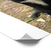 Welpenposter Poster (Ecke)