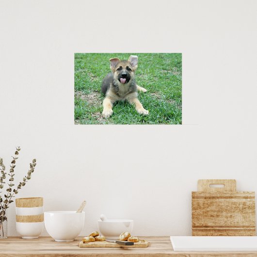 Welpenposter Poster (Küche)
