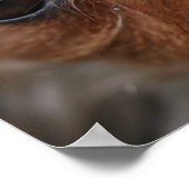 Welpenposter Poster (Ecke)