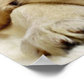 Welpenschlafen Poster (Ecke)