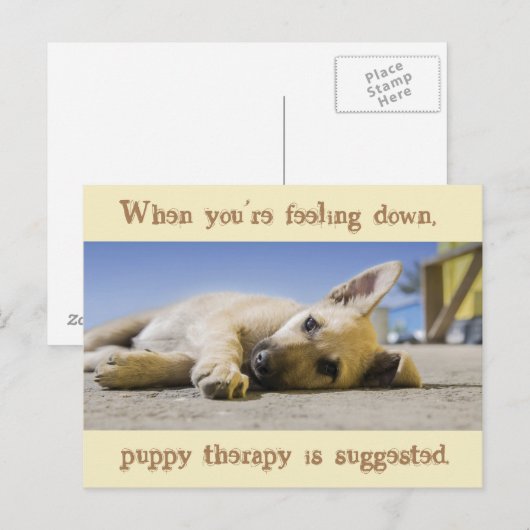 Welpentherapie Hunde Postkarte (Vorne/Hinten)