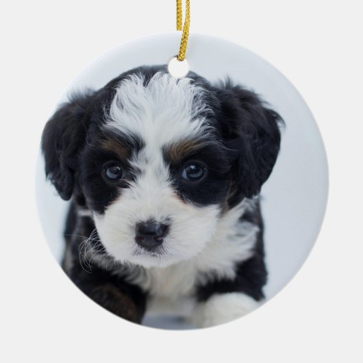 Welpenweihnacht Keramik Ornament (Vorne)