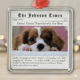 Welpe's First Christmas New Dog Foto Newspaper Ornament Aus Metall