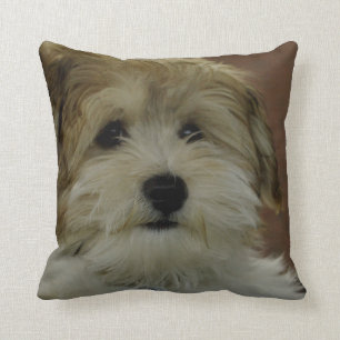 Welpezu niedliches Throw-Kissen Kissen