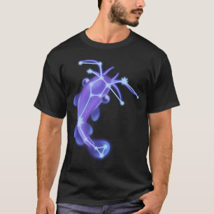 Wels-Sternbild T-Shirt