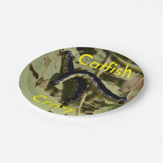 Wels verrückte Catalpa Würmer Pappteller (Schrägansicht)