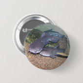 Welsfischen-Zoo Button (Vorne & Hinten)