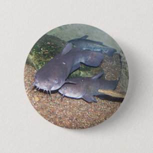 Welsfischen-Zoo Button
