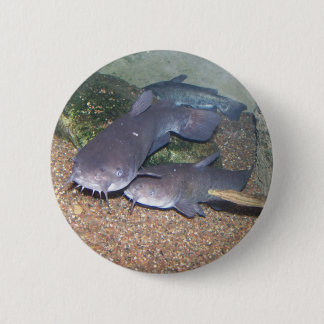 Welsfischen-Zoo Button