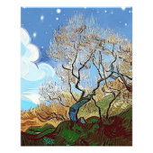 WELSH BERGBAUM FOTODRUCK (Vorne)