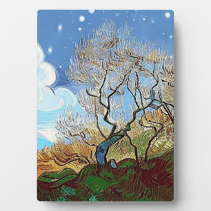 WELSH BERGBAUM FOTOPLATTE