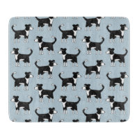 Welsh Border Collie Dog