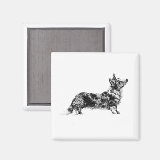 Welsh Cardigan Corgi magnet (Vorderseite/Rückseite)