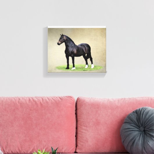 Welsh Cob Canvas Print Leinwanddruck (Insitu (Wohnzimmer))