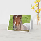 Welsh cob foal horse card karte (Gelbe Blume)