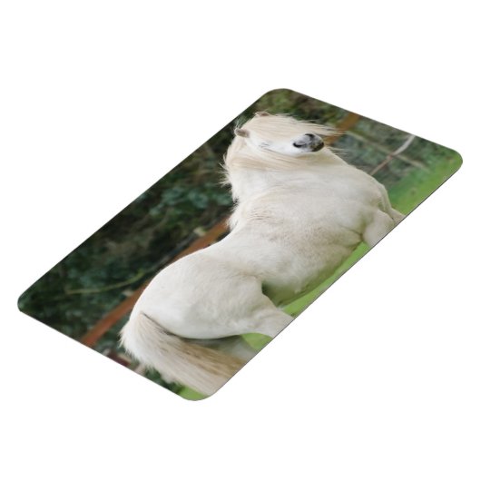 Welsh Cob Pferd Flexible Magnet (Linke Seite)