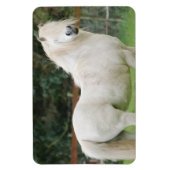 Welsh Cob Pferd Flexible Magnet (Vertikal)