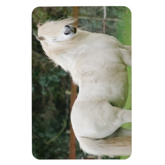 Welsh Cob Pferd Flexible Magnet (Vertikal)