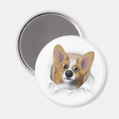 Welsh Corgi 1 Buout Magnet (Vorderseite/Rückseite)