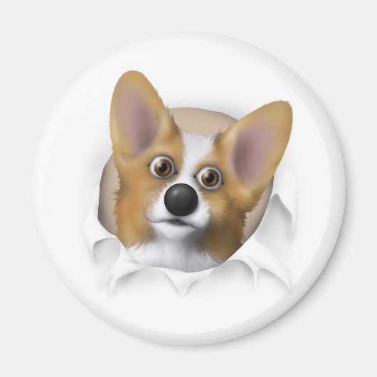 Welsh Corgi 1 Buout Magnet (Vorne)