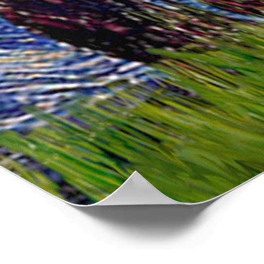 Welsh Corgi Bi Black Starry Night Poster (Ecke)