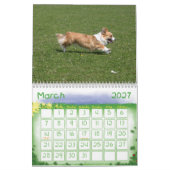 Welsh Corgi Calendar Kalender (Mär 2027)
