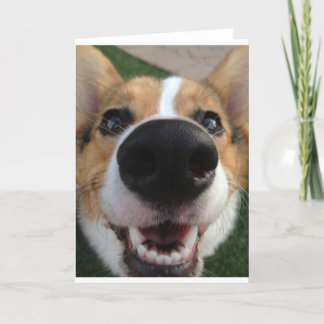 Welsh Corgi Dog Nose Collection Karte