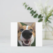 Welsh Corgi Dog Nose Collection Postkarte (Stehend Vorderseite)