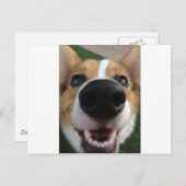 Welsh Corgi Dog Nose Collection Postkarte (Vorne/Hinten)