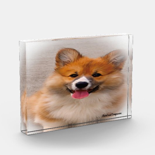 Welsh Corgi Hund. Fotoblock (Links)
