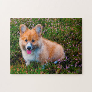 Welsh Corgi Hunde Jigsaws. Puzzle