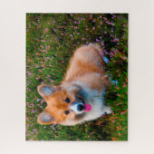 Welsh Corgi Hunde Jigsaws. Puzzle (Vertikal)