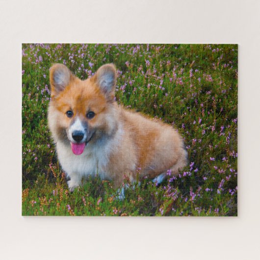 Welsh Corgi Hunde Jigsaws. Puzzle (Horizontal)