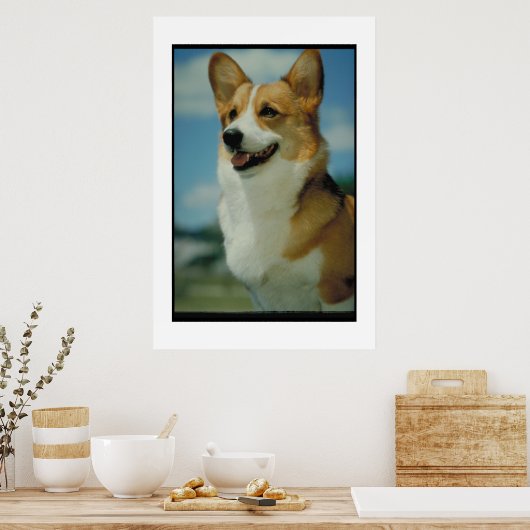 Welsh Corgi Poster (Küche)
