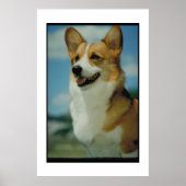 Welsh Corgi Poster (Vorne)