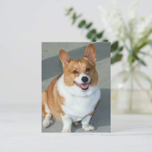 Welsh Corgi Postkarte (Stehend Vorderseite)
