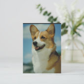 Welsh Corgi Postkarte (Stehend Vorderseite)