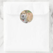 Welsh Corgi Sticker (Tasche)