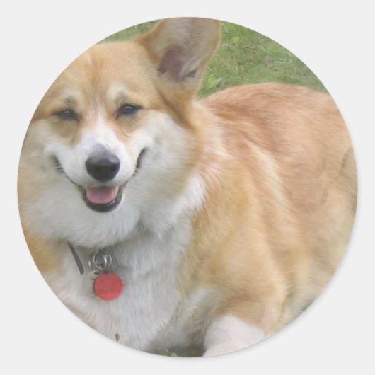 Welsh Corgi Sticker (Vorderseite)