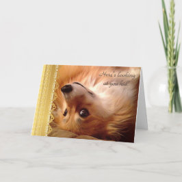 Welsh Corgi Valentine Schauen Sie sich Ihr Kind an Feiertagskarte