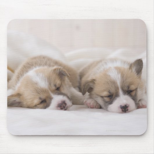 Welsh Corgi Welppies Mousepad (Vorne)