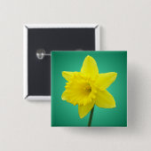 Welsh Daffodil - IV - Square Button (Vorne & Hinten)