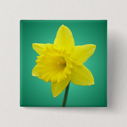 Welsh Daffodil - IV - Square Button (Vorderseite)