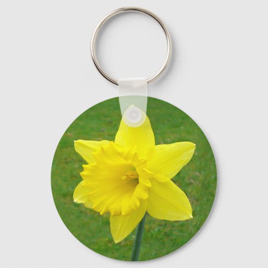 Welsh Daffodil Schlüsselanhänger (Vorderseite)