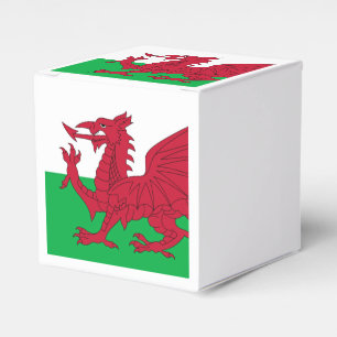 Welsh Dragon ~ Flag Wales Geschenkschachtel